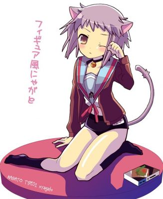 Neko Nagato-san
nagato yuki neko