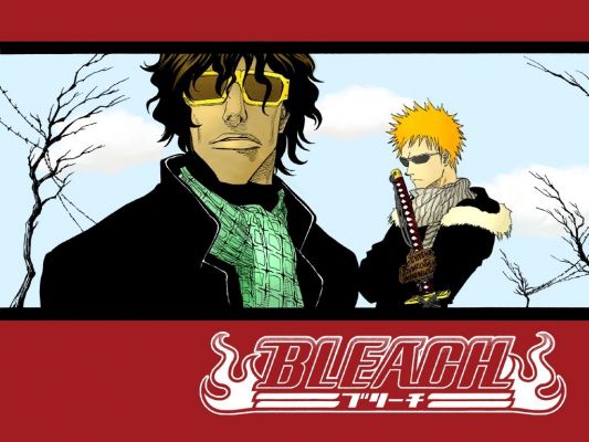 Bleach
Bleach