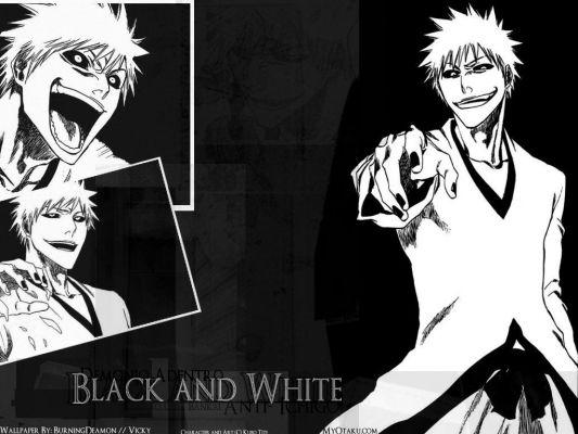 Bleach
Bleach