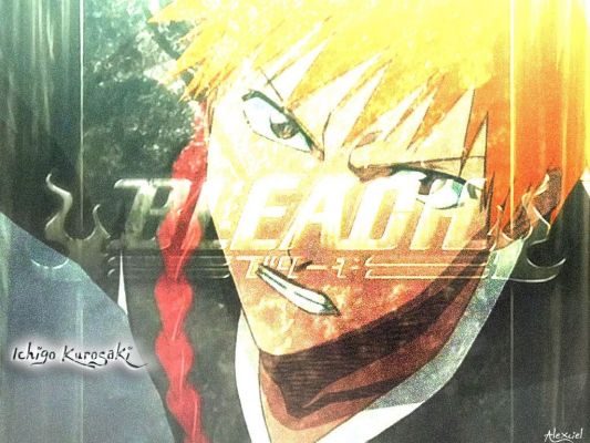 Ichigo
Bleach