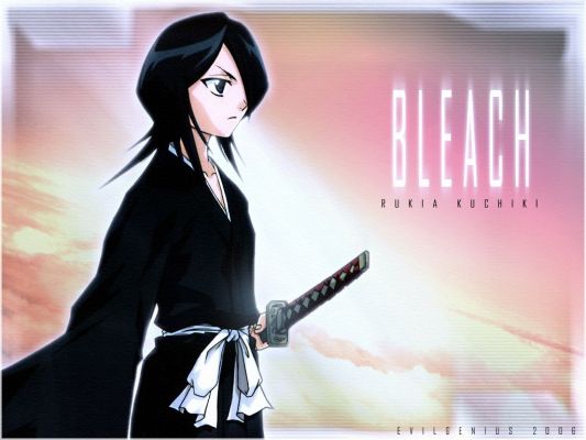  Rukia
Bleach