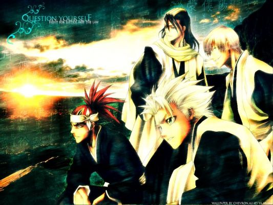 Bleach
Bleach