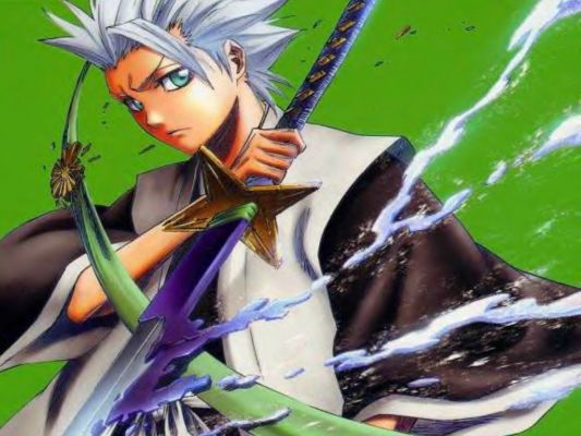 Hitsugaya Toushiro
Bleach