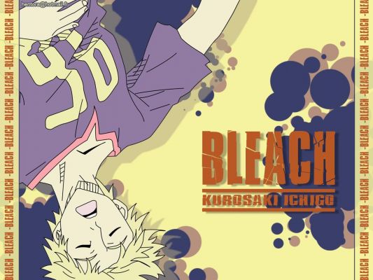  Bleach
Bleach