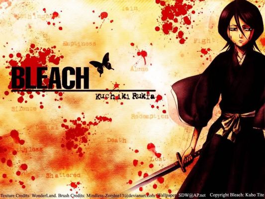  Bleach
Bleach