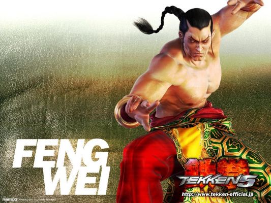 Tekken 5
Tekken 5