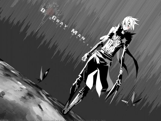 D.Gray man
D.Gray man