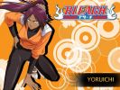 Shihouin Yoruichi
Bleach