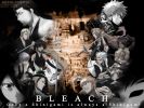 Bleach
Bleach