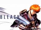 Ichigo
Bleach