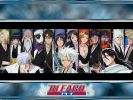 Bleach
Bleach