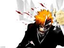 Ichigo
Bleach