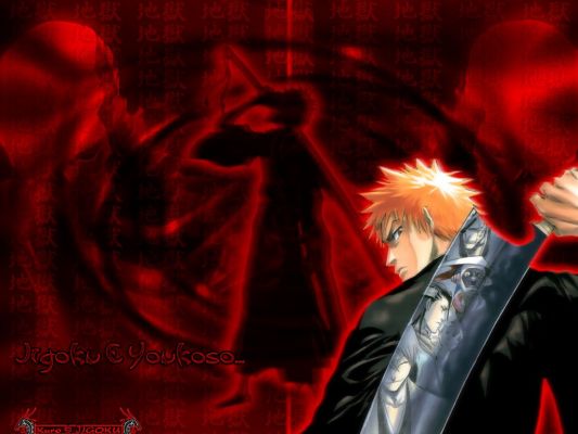 Bleach
