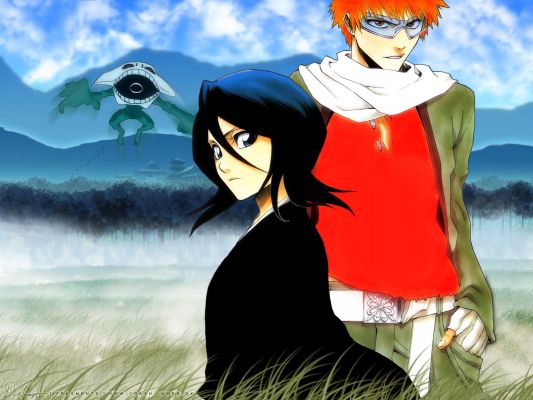 Bleach
