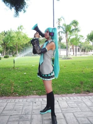 Hatsune Miku 22
Hatsune Miku Vocaloid