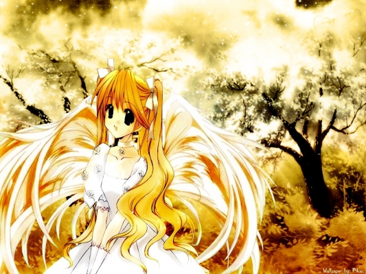 Angel Dust  07
Angel Dust  07
           Angel Dust anime picture wallpaper desktop