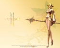 Lineage game wallpaper
Lineage game wallpaper