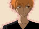 Baka Neko TT __ TT
furuba fruits basket kyo