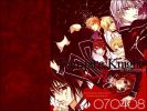 Vampire Knight
Vampire Knight