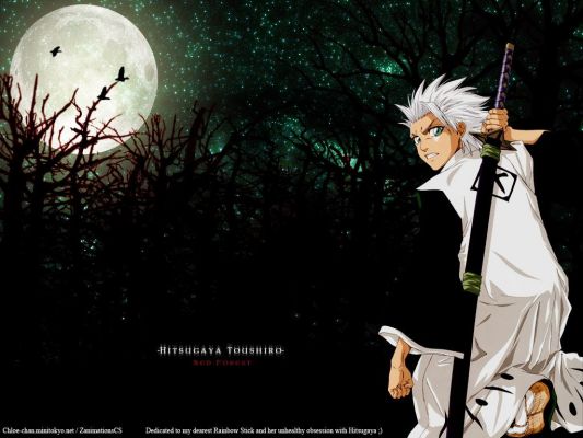 Hitsugaya Toushiro
