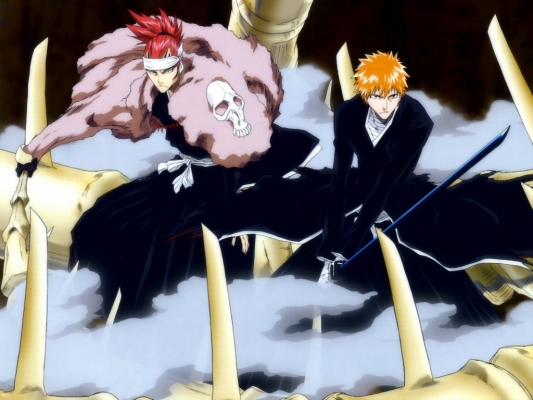 bleach
bleach bleach_anime  _   ichigo renji