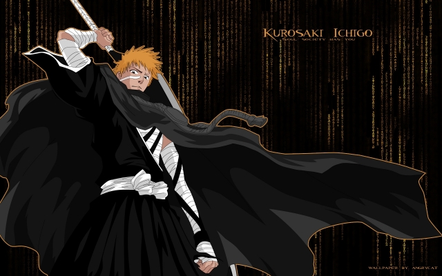 bleach
bleach bleach_anime  _  ichigo