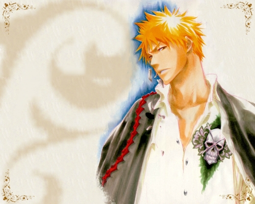 bleach
bleach bleach_anime  _  ichigo