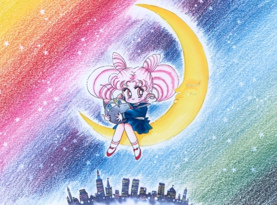   
 sailor moon