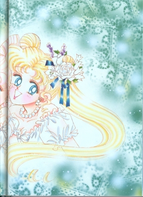   
 sailor moon