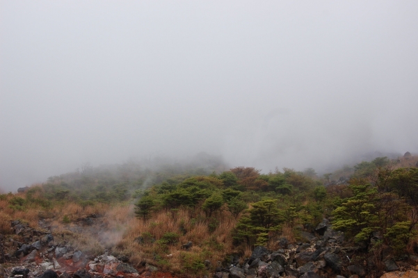 Japan
      
japan hakone  