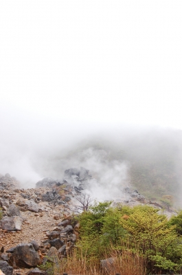 Japan
japan hakone  