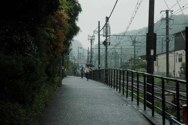 
       ,    ))     !!!
  kamakura japan