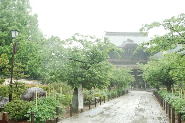 
  kamakura japan