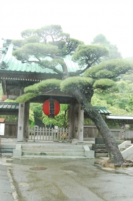 
  kamakura japan