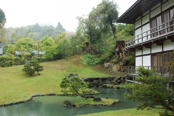 
 
  kamakura japan