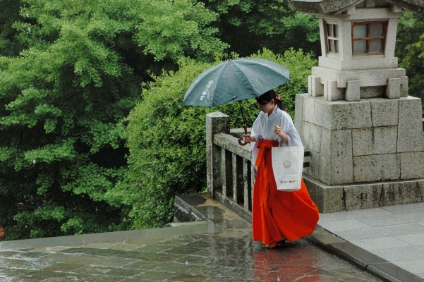 

  kamakura japan