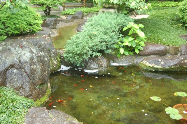 
  kamakura japan