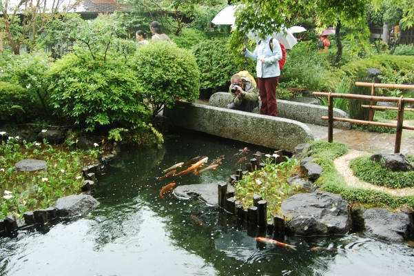 
  kamakura japan