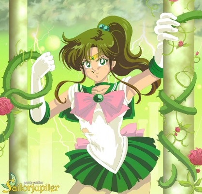  
 technoranma.deviantart.com
sailormoon