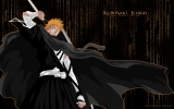 bleach
bleach bleach_anime  _  ichigo