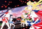   
 sailor moon