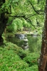 
  kamakura japan