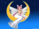 chibiusa
sailormoon chibiusa