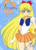 sailor venus
sailormoon sailorvenus