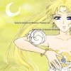 sailor venus
sailormoon sailorvenus