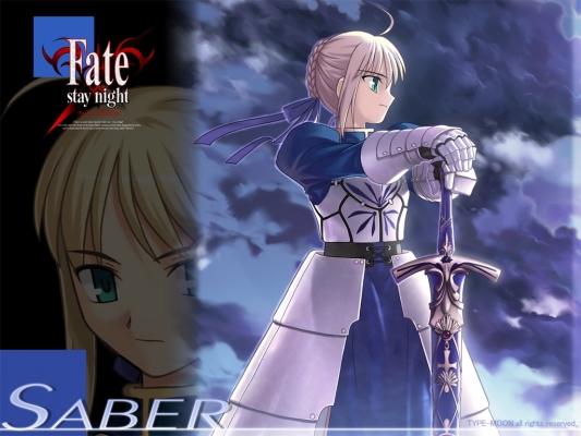 Fate/Stay Night
 Saber