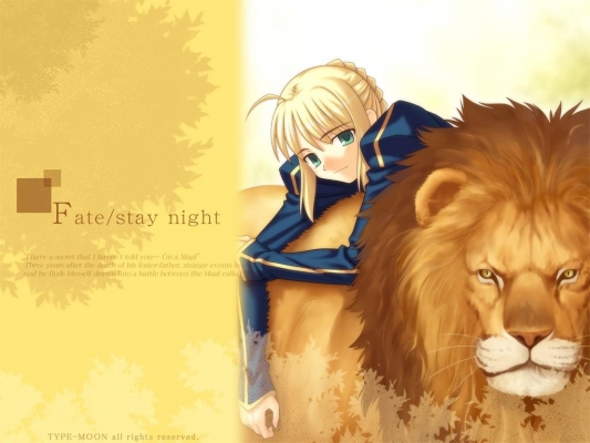 Fate/Stay Night
 Saber