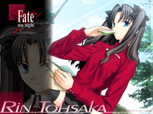 Fate/Stay Night
