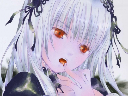   水銀燈 Mercury Lampe 
    
 Rozen Maiden Suigintou