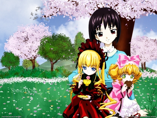  Rozen Maiden
  Rozen Maiden